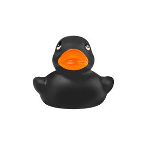 Black_Duck_175209