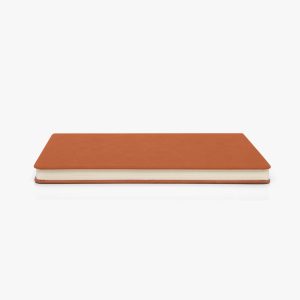 journalbook-blink